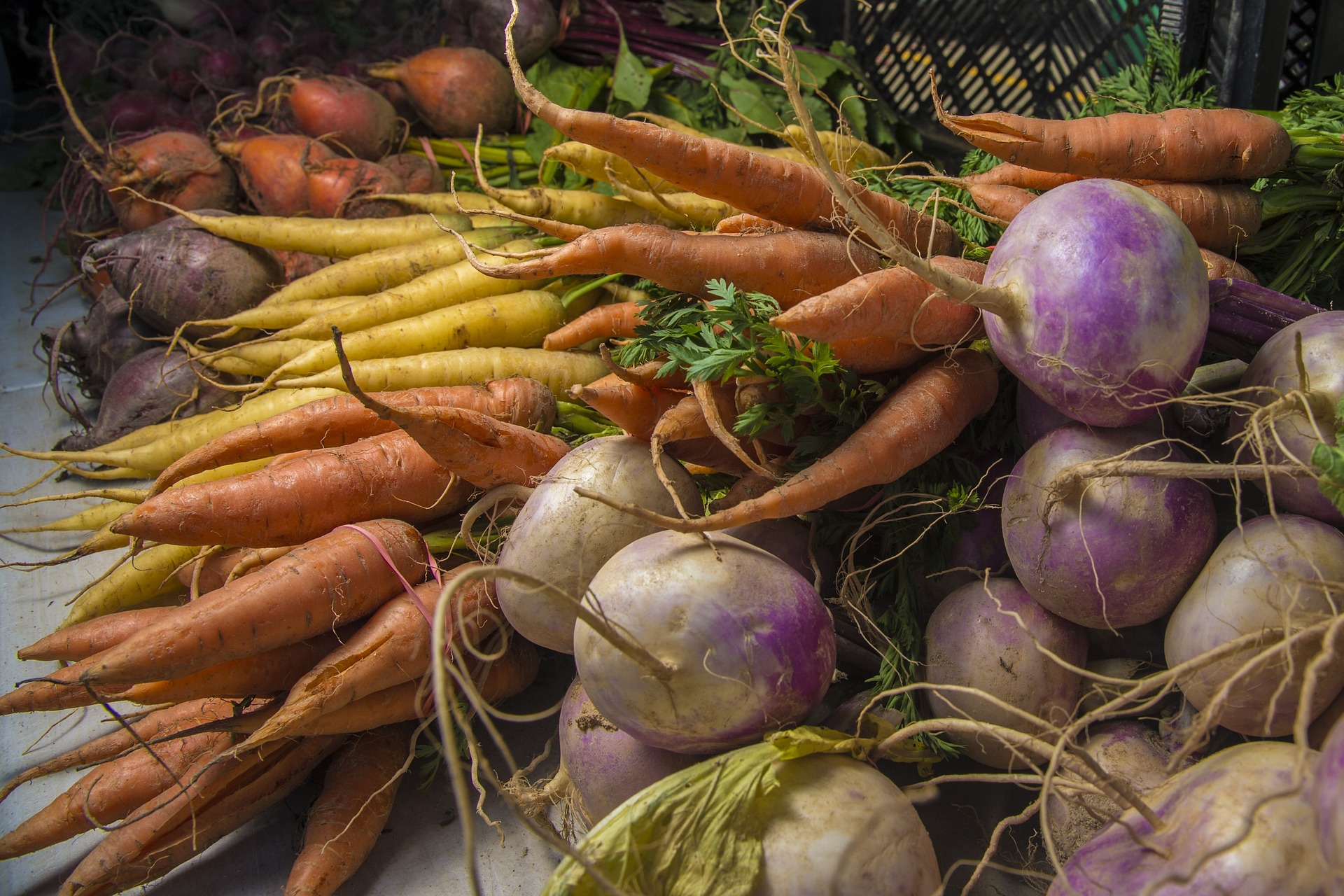 Root Cellar Salad - Arise &amp; Shine
